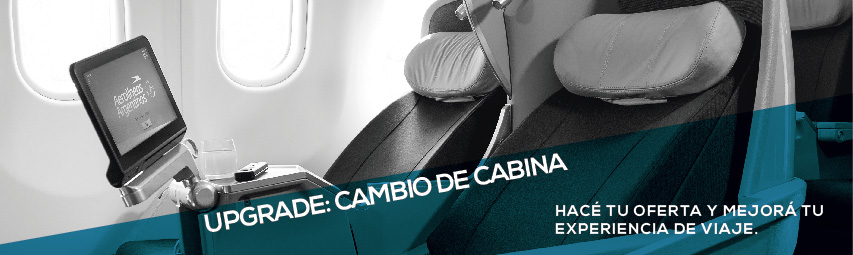 Tenga en cuenta que los sitios web o software de terceros pueden o no seguir las mismas políticas de accesibilidad de Aerolíneas Argentinas.